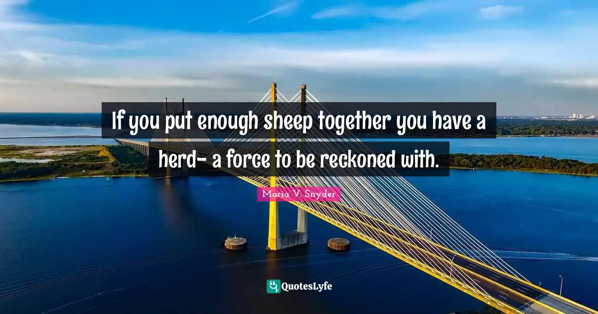 If you put enough sheep together you have a herd- a force to be reckoned with.