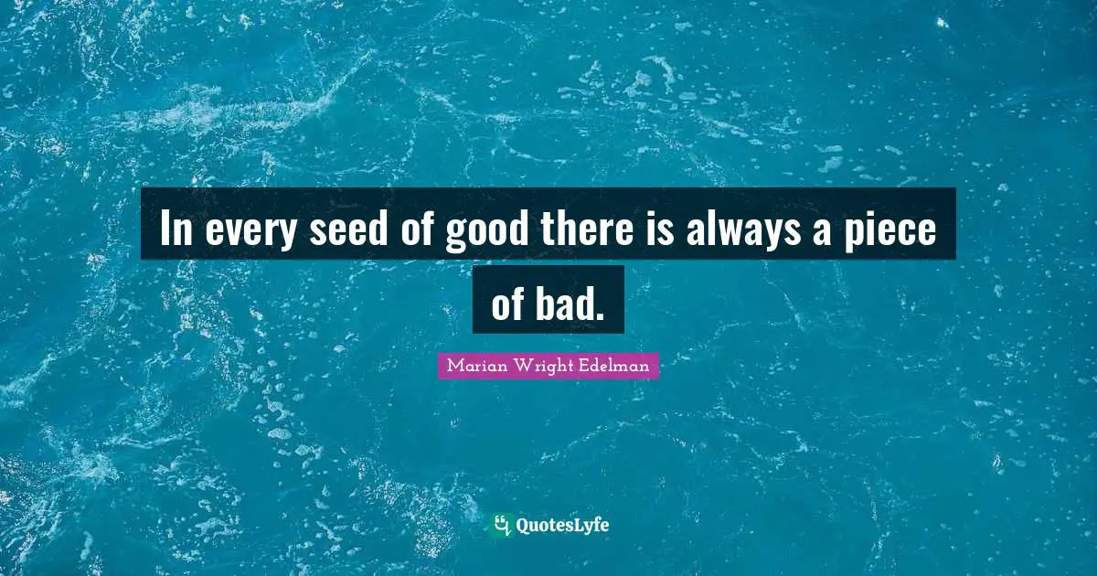 In every seed of good there is always a piece of bad.