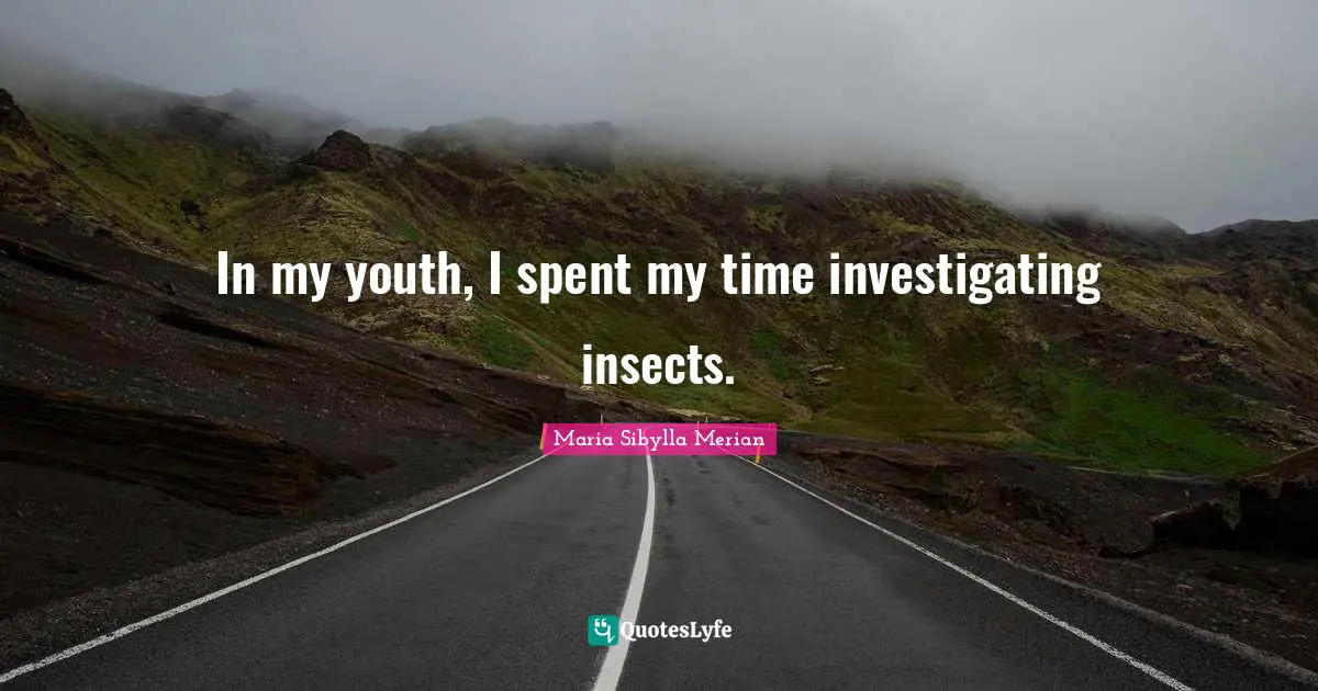 In my youth, I spent my time investigating insects.
