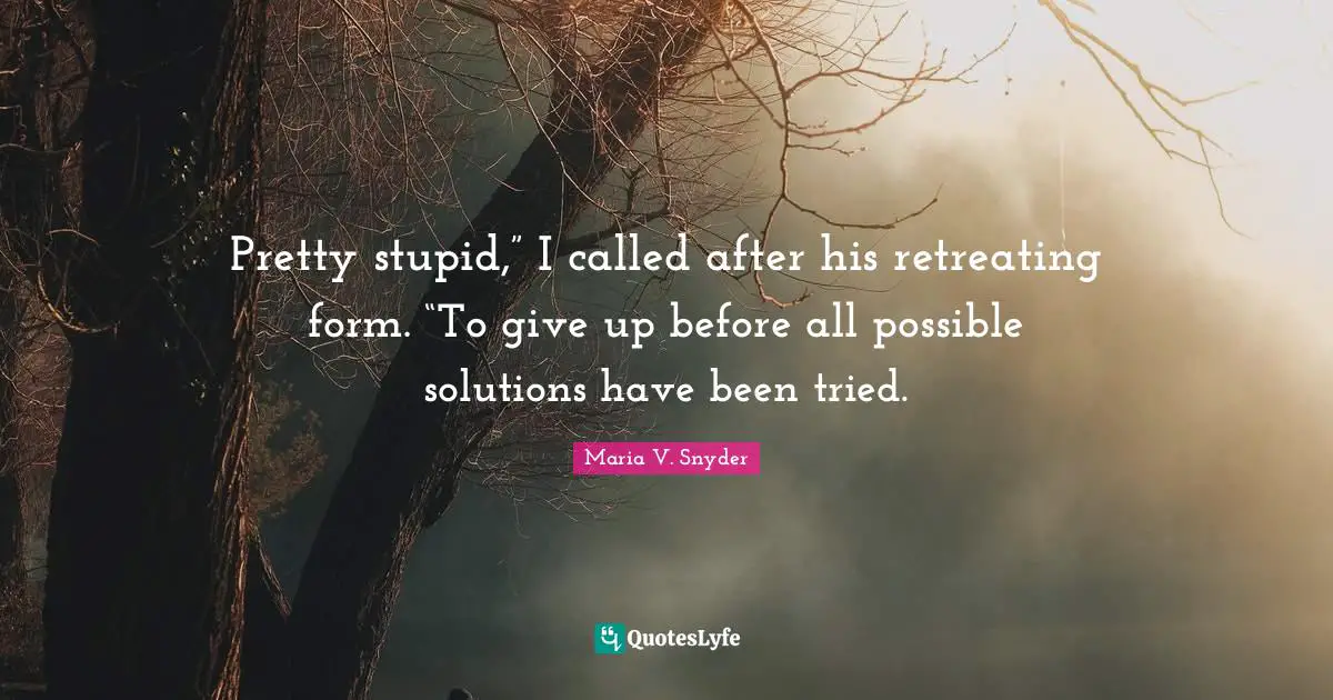 Pretty stupid,” I called after his retreating form. “To give up before all possible solutions have been tried.