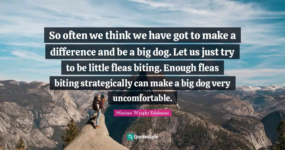 So often we think we have got to make a difference and be a big dog. Let us just try to be little fleas biting. Enough fleas biting strategically can make a big dog very uncomfortable.
