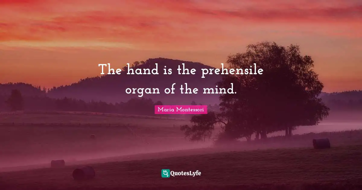 The hand is the prehensile organ of the mind.