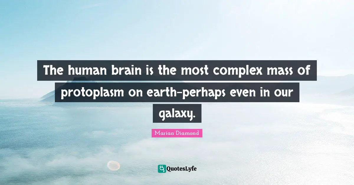 The human brain is the most complex mass of protoplasm on earth-perhaps even in our galaxy.