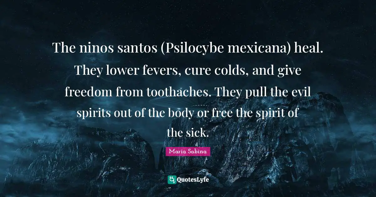 The ninos santos (Psilocybe mexicana) heal. They lower fevers, cure colds, and give freedom from toothaches. They pull the evil spirits out of the body or free the spirit of the sick.