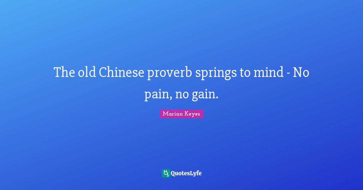 Proverb Quotes: "The old Chinese proverb springs to mind - No pain, no gain."