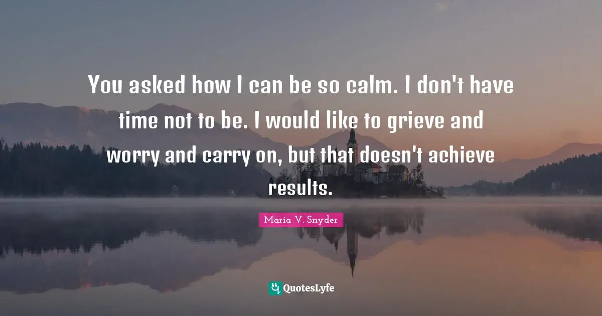 You asked how I can be so calm. I don't have time not to be. I would like to grieve and worry and carry on, but that doesn't achieve results.