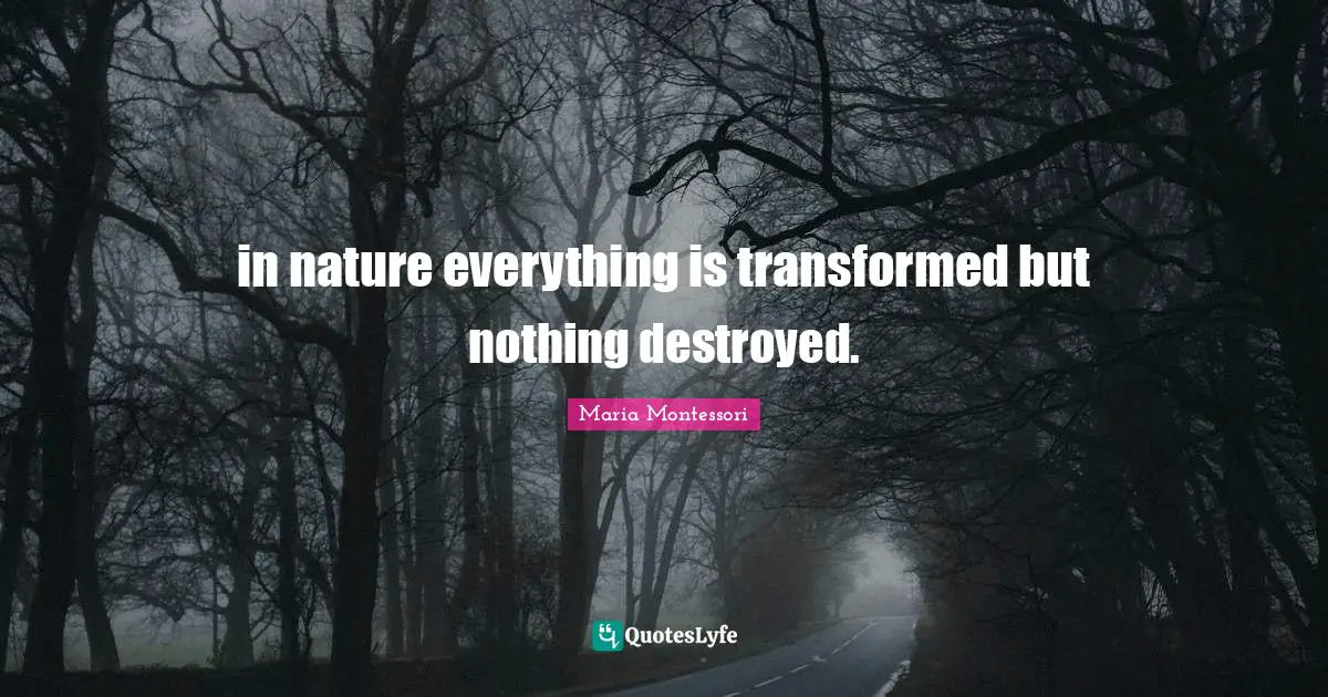 in nature everything is transformed but nothing destroyed.