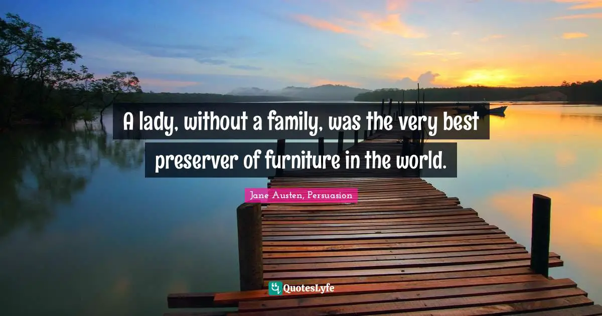 A lady, without a family, was the very best preserver of furniture in the world.