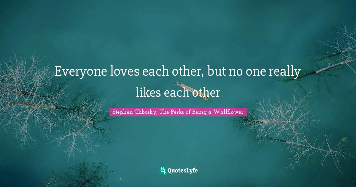 Stephen Chbosky, The Perks Of Being A Wallflower Quotes: "Everyone loves each other, but no one really likes each other"