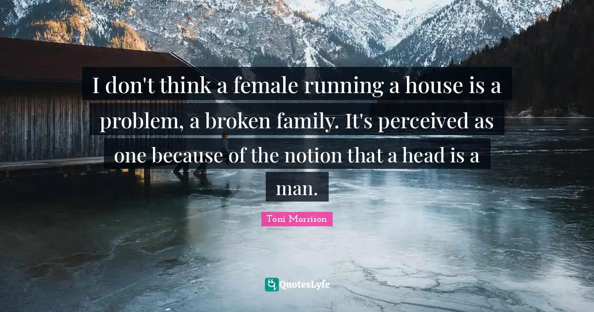 I don't think a female running a house is a problem, a broken family. It's perceived as one because of the notion that a head is a man.