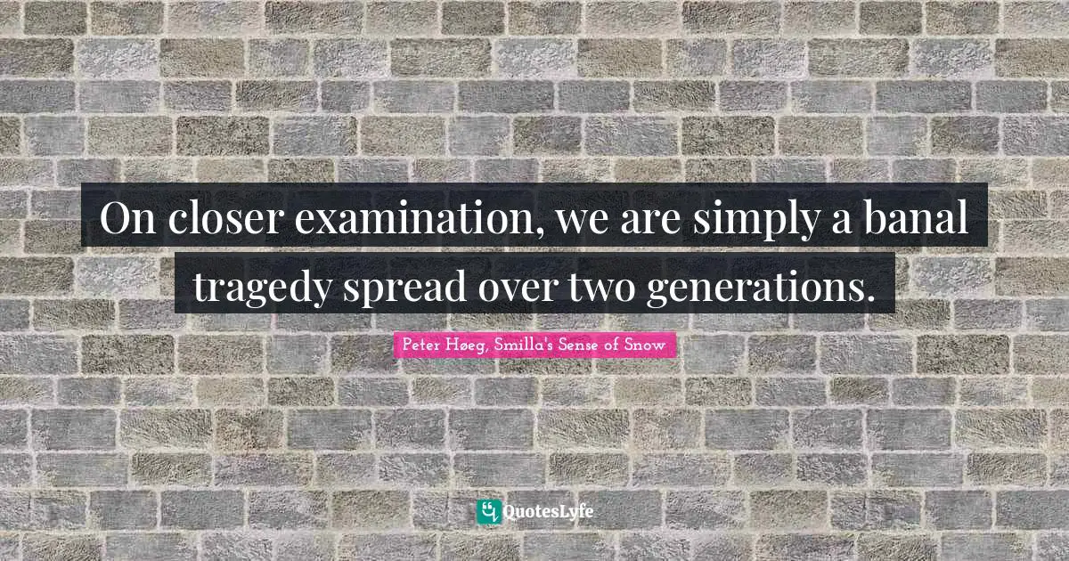 On closer examination, we are simply a banal tragedy spread over two generations.