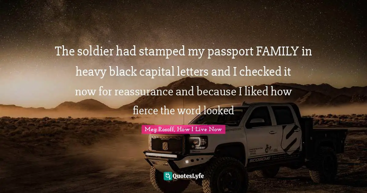 The soldier had stamped my passport FAMILY in heavy black capital letters and I checked it now for reassurance and because I liked how fierce the word looked