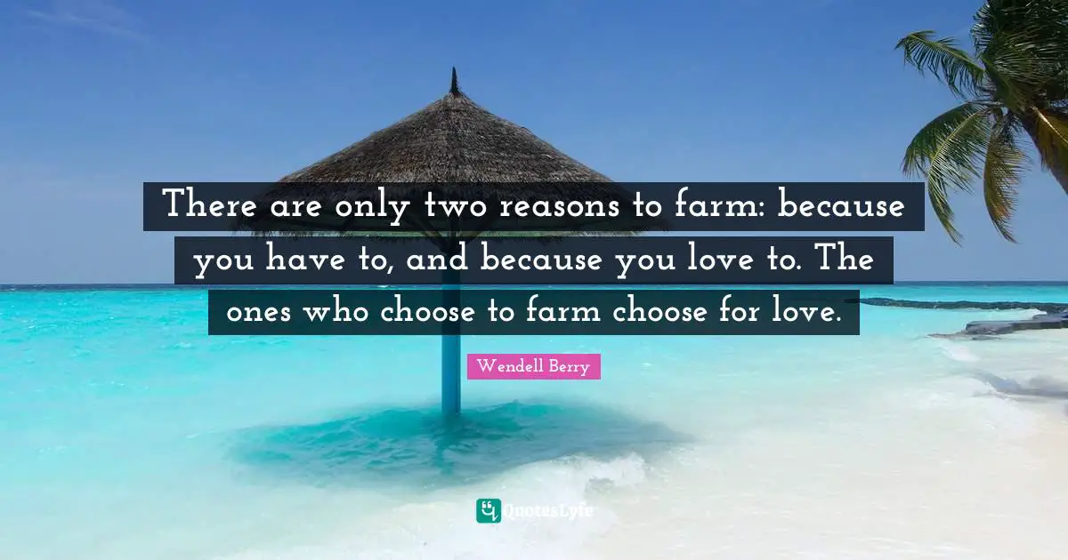 There are only two reasons to farm: because you have to, and because you love to. The ones who choose to farm choose for love.