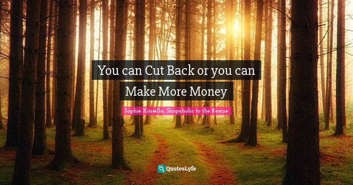 You can Cut Back or you can Make More Money
