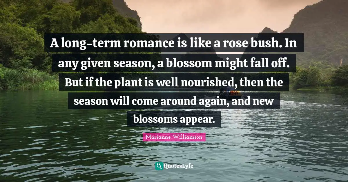 A long-term romance is like a rose bush. In any given season, a blossom might fall off. But if the plant is well nourished, then the season will come around again, and new blossoms appear.