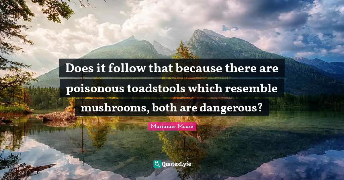 Does it follow that because there are poisonous toadstools which resemble mushrooms, both are dangerous?