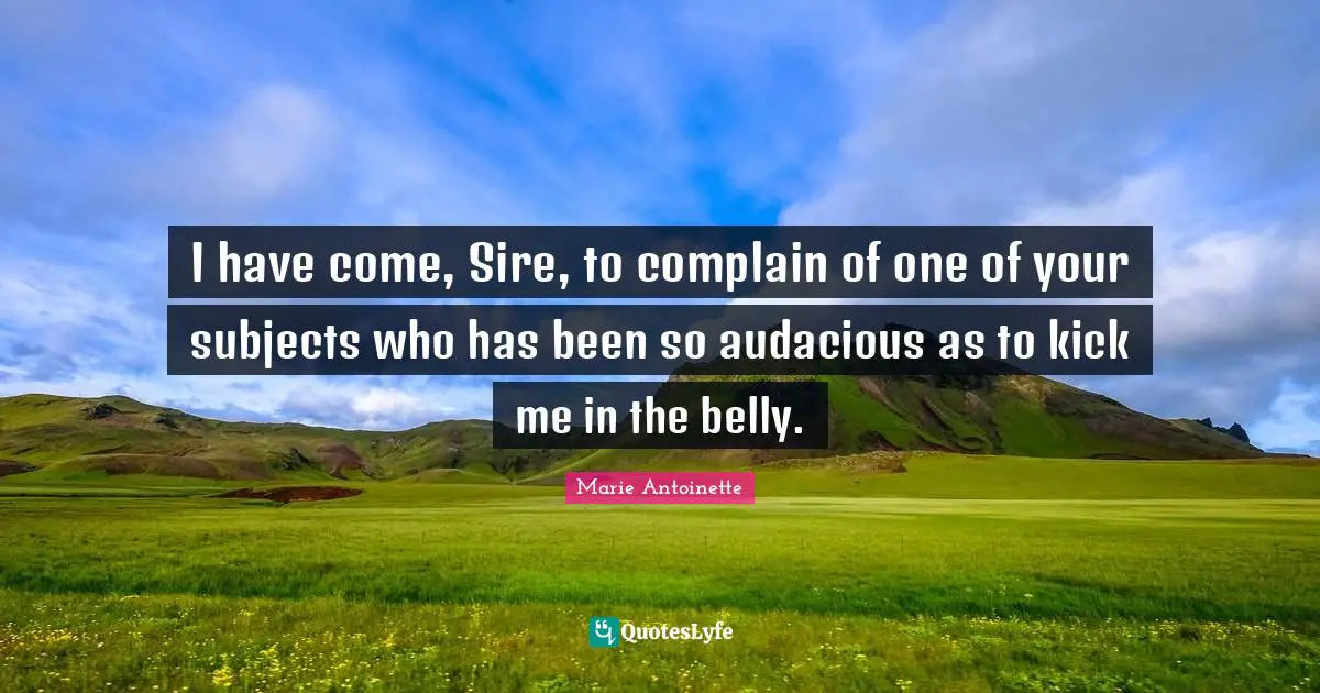 Marie Antoinette Quotes: "I have come, Sire, to complain of one of your subjects who has been so audacious as to kick me in the belly."