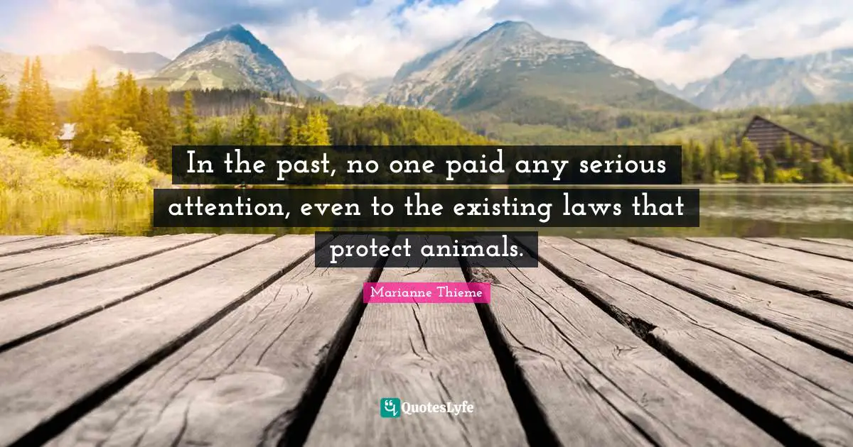 In the past, no one paid any serious attention, even to the existing laws that protect animals.