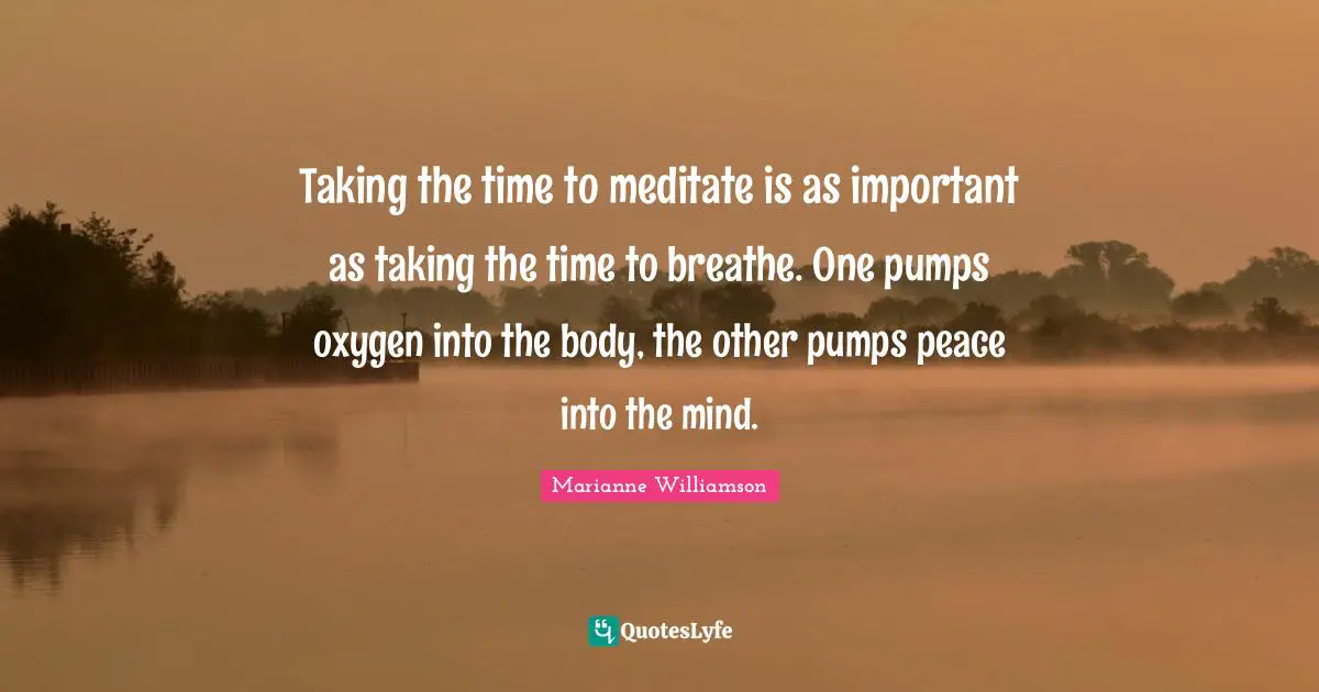 Taking the time to meditate is as important as taking the time to breathe. One pumps oxygen into the body, the other pumps peace into the mind.