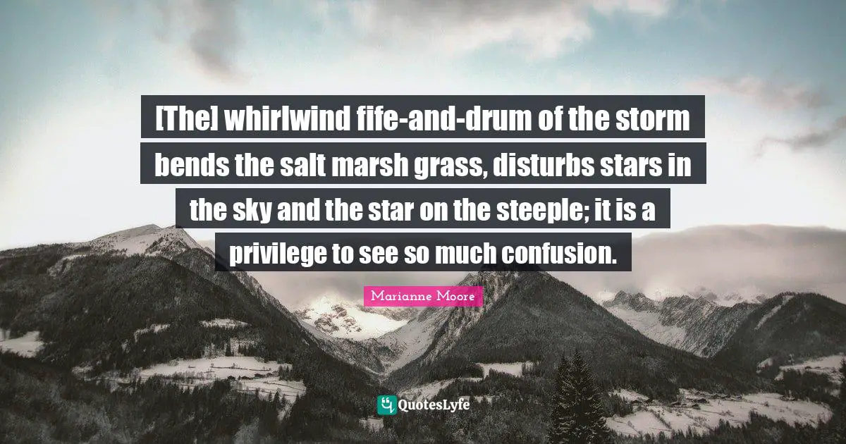 [The] whirlwind fife-and-drum of the storm bends the salt marsh grass, disturbs stars in the sky and the star on the steeple; it is a privilege to see so much confusion.