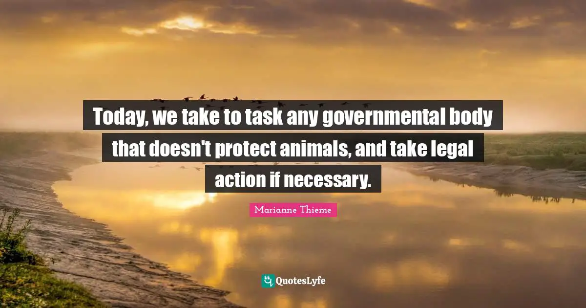 Today, we take to task any governmental body that doesn't protect animals, and take legal action if necessary.