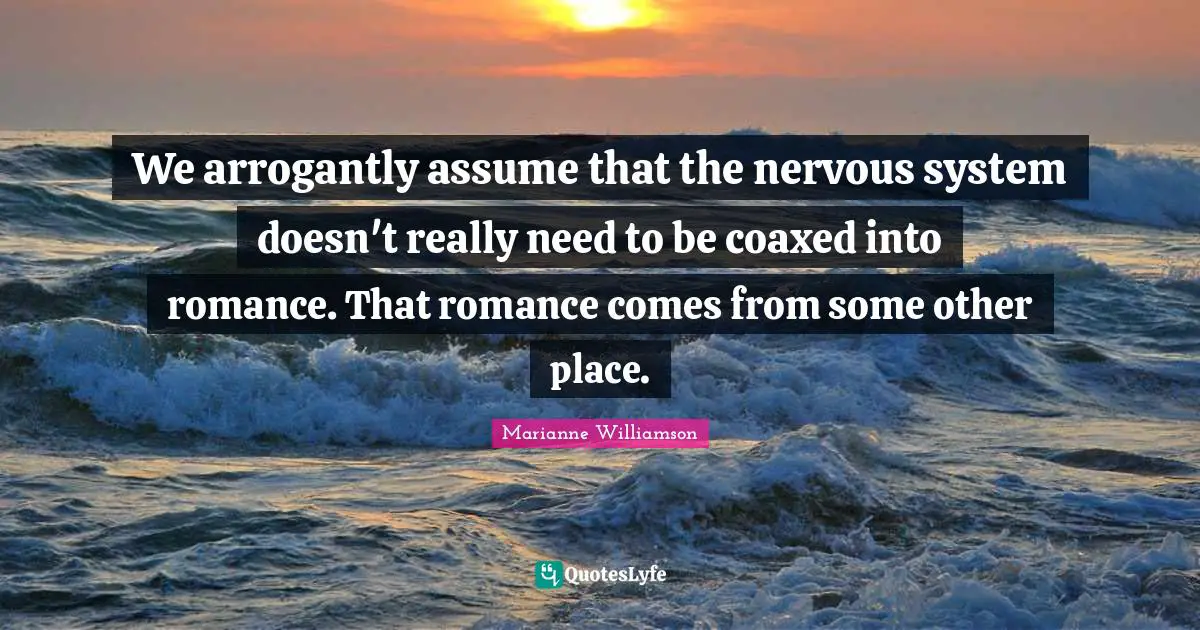 We arrogantly assume that the nervous system doesn't really need to be coaxed into romance. That romance comes from some other place.