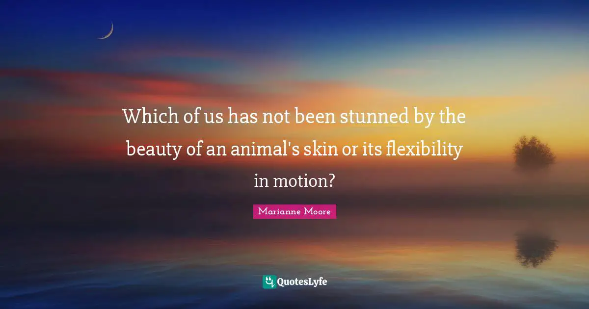 Which of us has not been stunned by the beauty of an animal's skin or its flexibility in motion?
