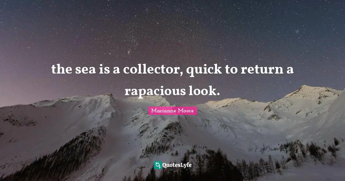 the sea is a collector, quick to return a rapacious look.