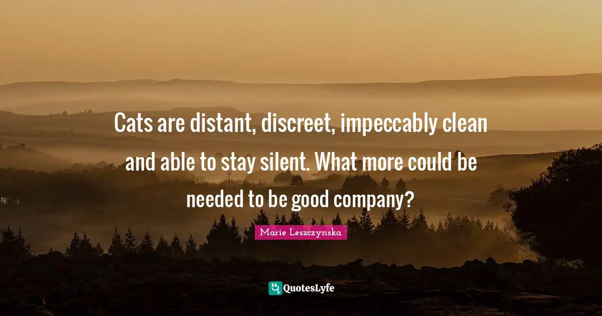 Discreet Quotes: "Cats are distant, discreet, impeccably clean and able to stay silent. What more could be needed to be good company?"