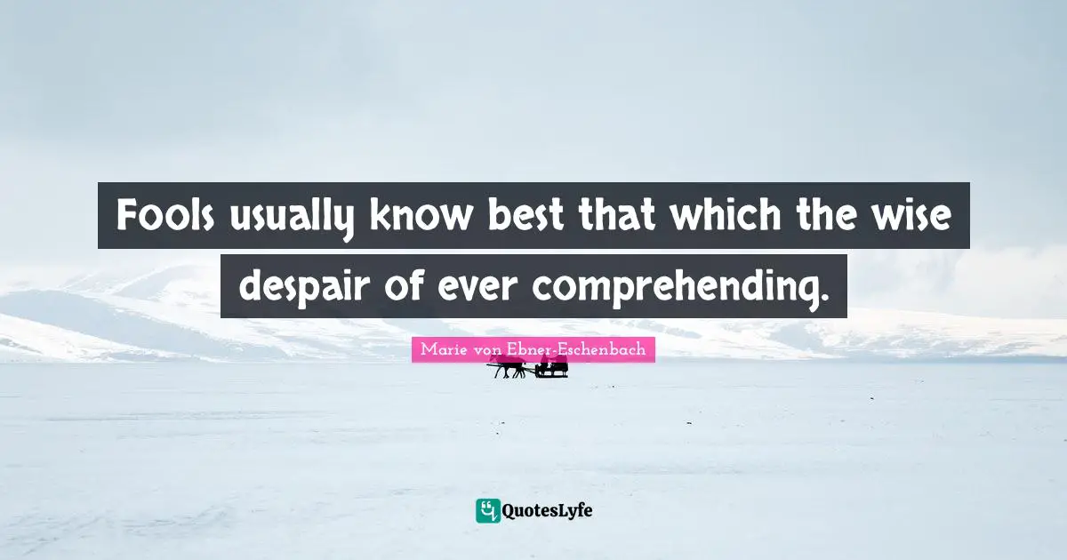 Fools usually know best that which the wise despair of ever comprehending.