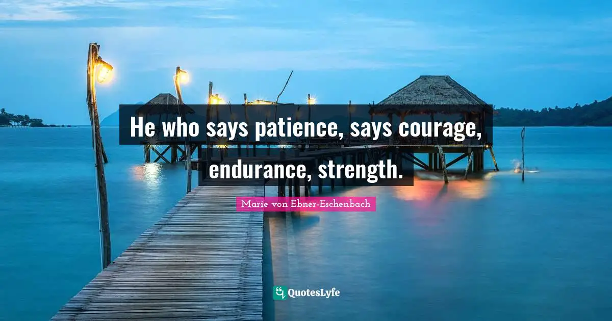 He who says patience, says courage, endurance, strength.