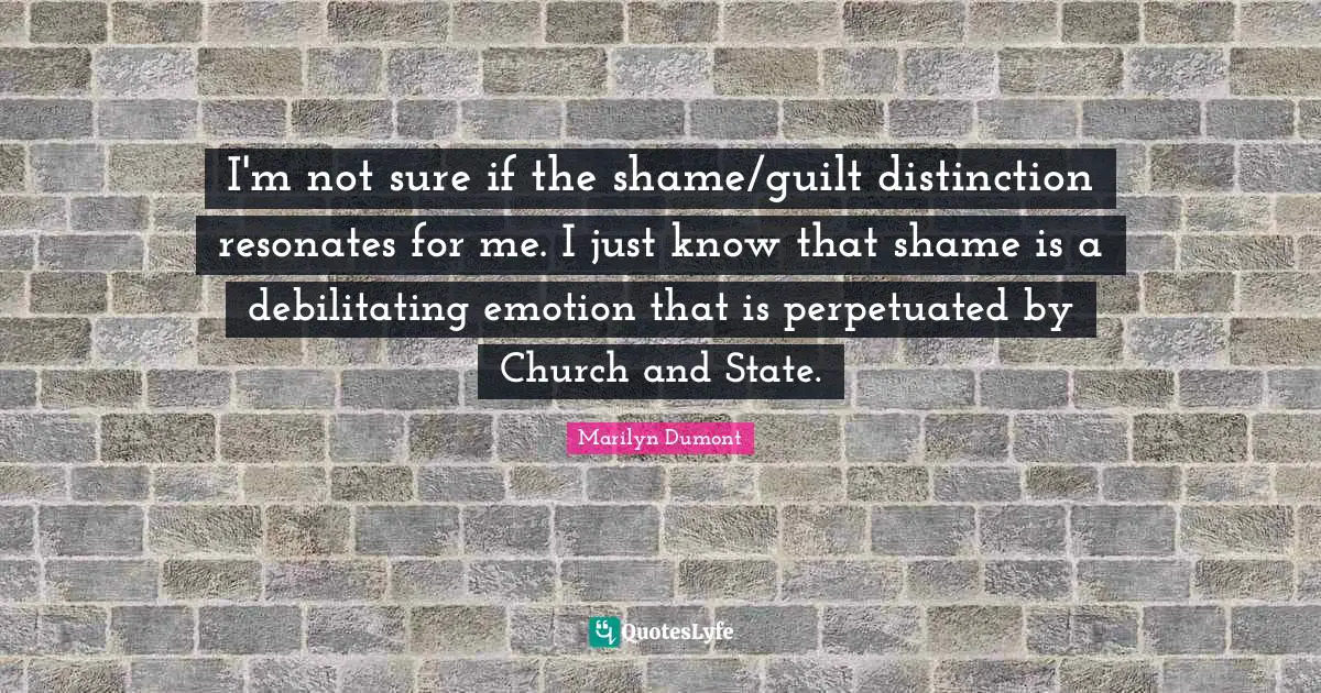 I'm not sure if the shame/guilt distinction resonates for me. I just know that shame is a debilitating emotion that is perpetuated by Church and State.