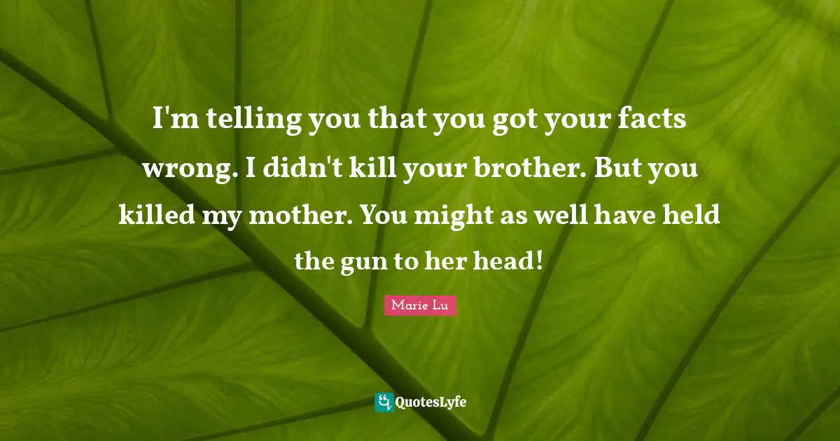 I'm telling you that you got your facts wrong. I didn't kill your brother. But you killed my mother. You might as well have held the gun to her head!