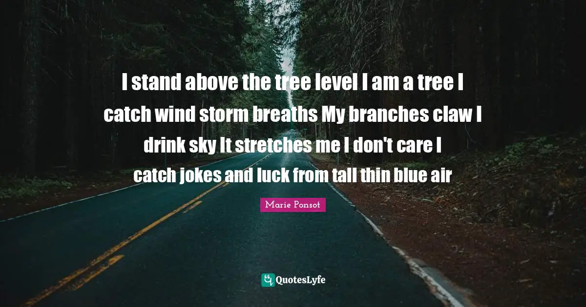 I stand above the tree level I am a tree I catch wind storm breaths My branches claw I drink sky It stretches me I don't care I catch jokes and luck from tall thin blue air