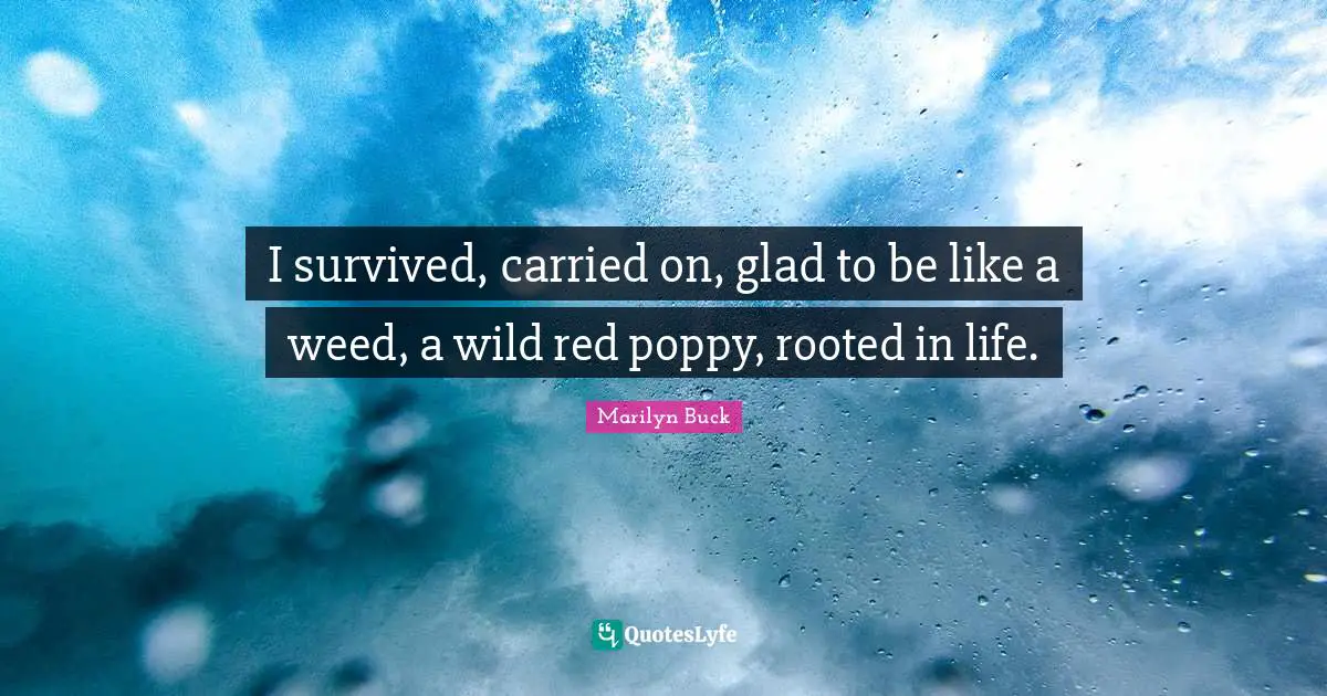 I survived, carried on, glad to be like a weed, a wild red poppy, rooted in life.
