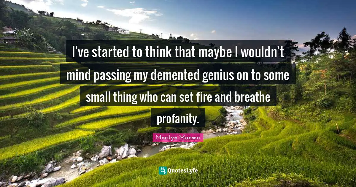 I've started to think that maybe I wouldn't mind passing my demented genius on to some small thing who can set fire and breathe profanity.