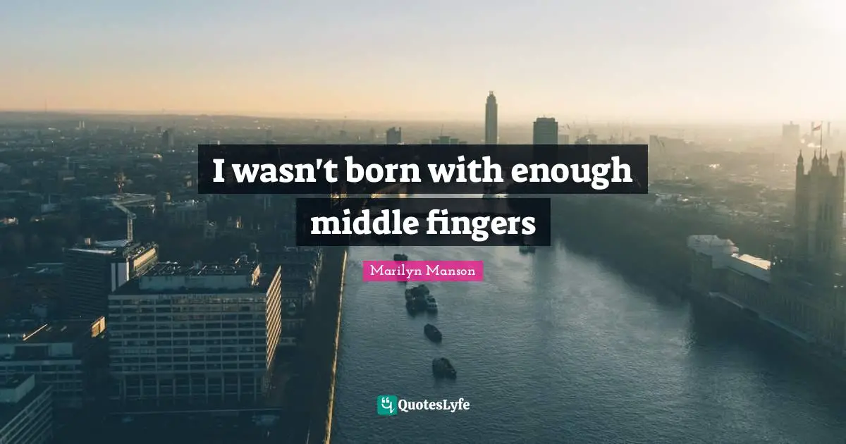 I wasn't born with enough middle fingers