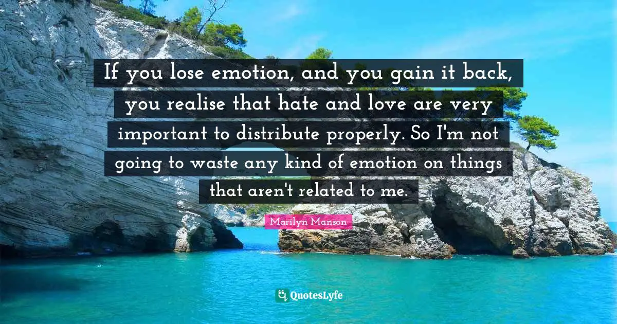 If you lose emotion, and you gain it back, you realise that hate and love are very important to distribute properly. So I'm not going to waste any kind of emotion on things that aren't related to me.