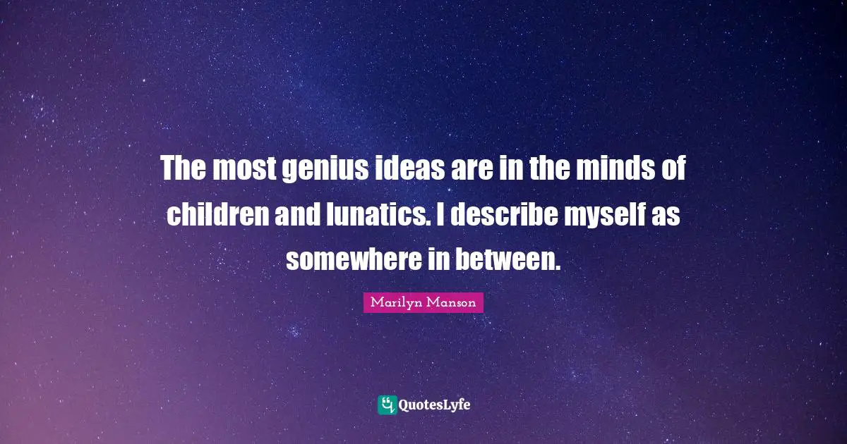 The most genius ideas are in the minds of children and lunatics. I describe myself as somewhere in between.