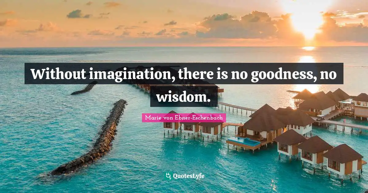 Without imagination, there is no goodness, no wisdom.