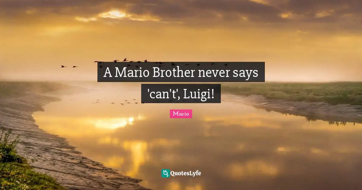 A Mario Brother never says 'can't', Luigi!