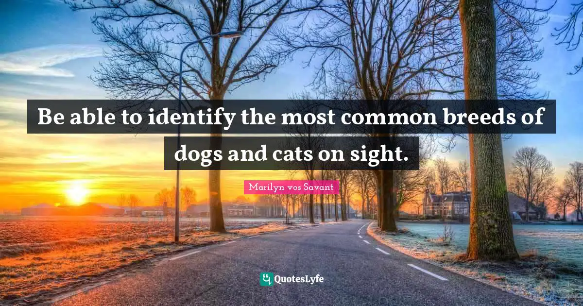 Be able to identify the most common breeds of dogs and cats on sight.
