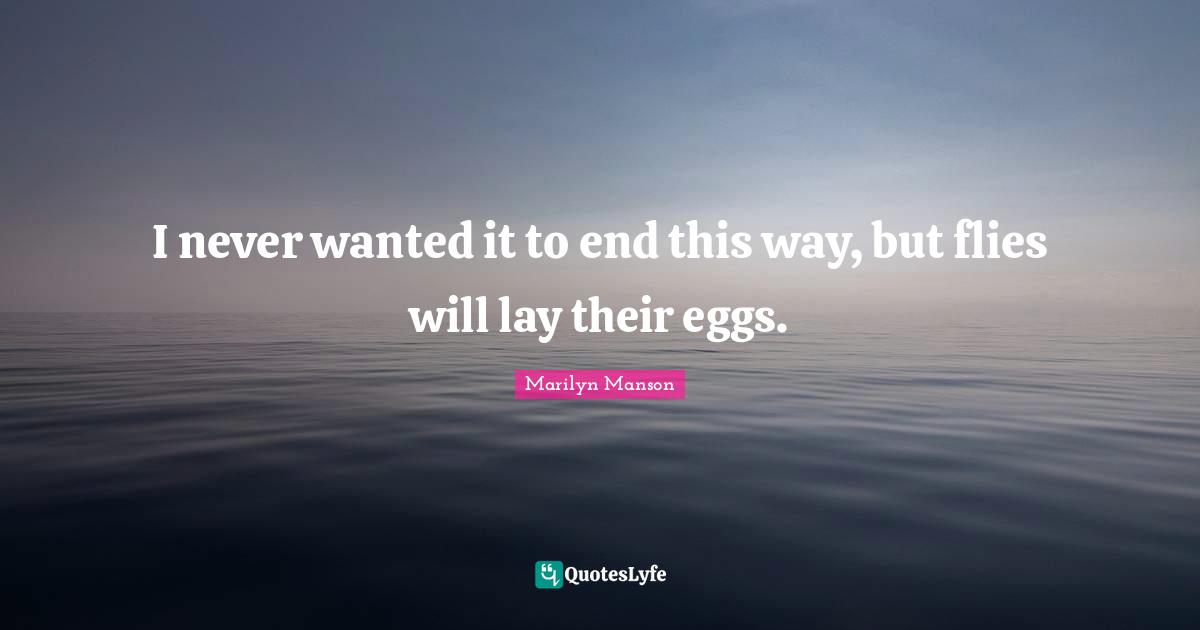 I never wanted it to end this way, but flies will lay their eggs.