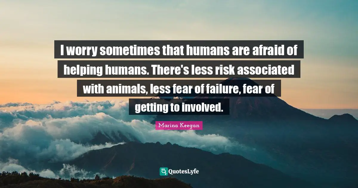 I worry sometimes that humans are afraid of helping humans. There's less risk associated with animals, less fear of failure, fear of getting to involved.
