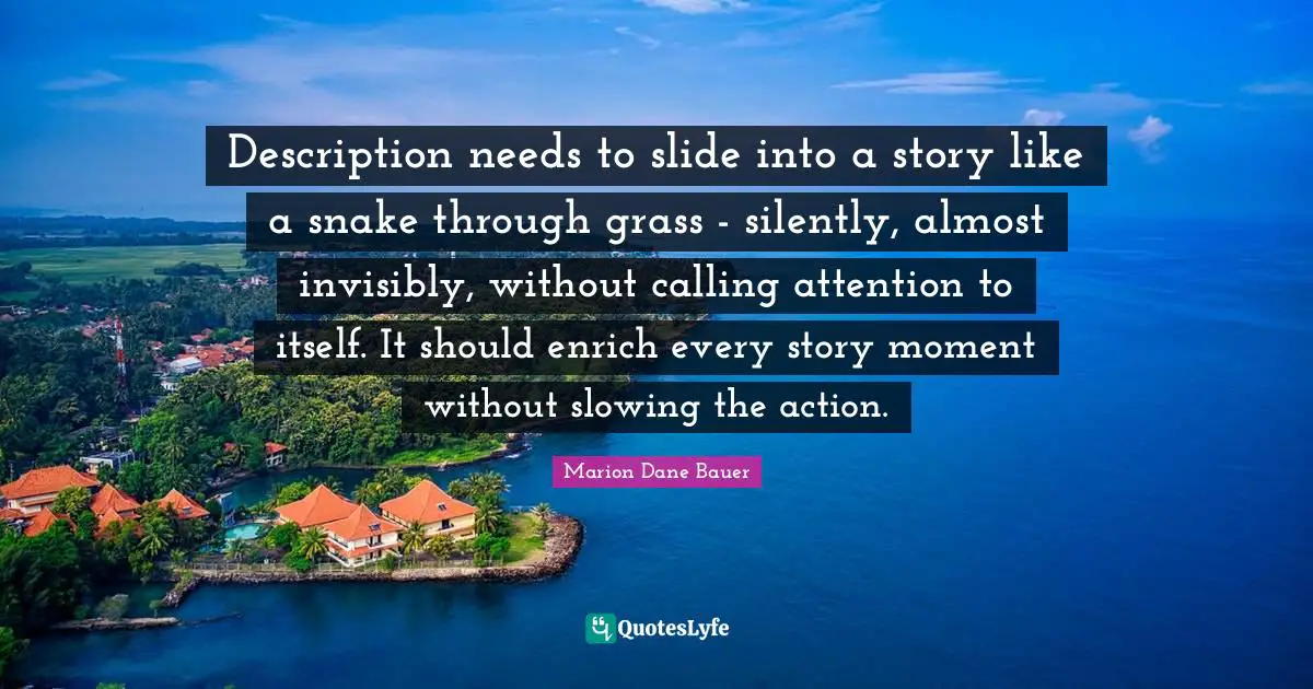 Description needs to slide into a story like a snake through grass - silently, almost invisibly, without calling attention to itself. It should enrich every story moment without slowing the action.