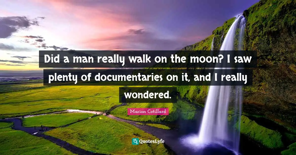 Did a man really walk on the moon? I saw plenty of documentaries on it, and I really wondered.