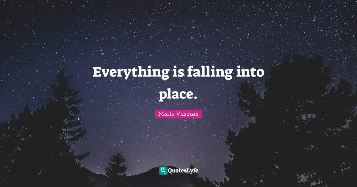 Everything is falling into place.