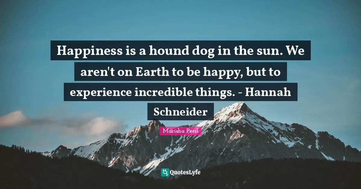 Happiness is a hound dog in the sun. We aren't on Earth to be happy, but to experience incredible things. - Hannah Schneider