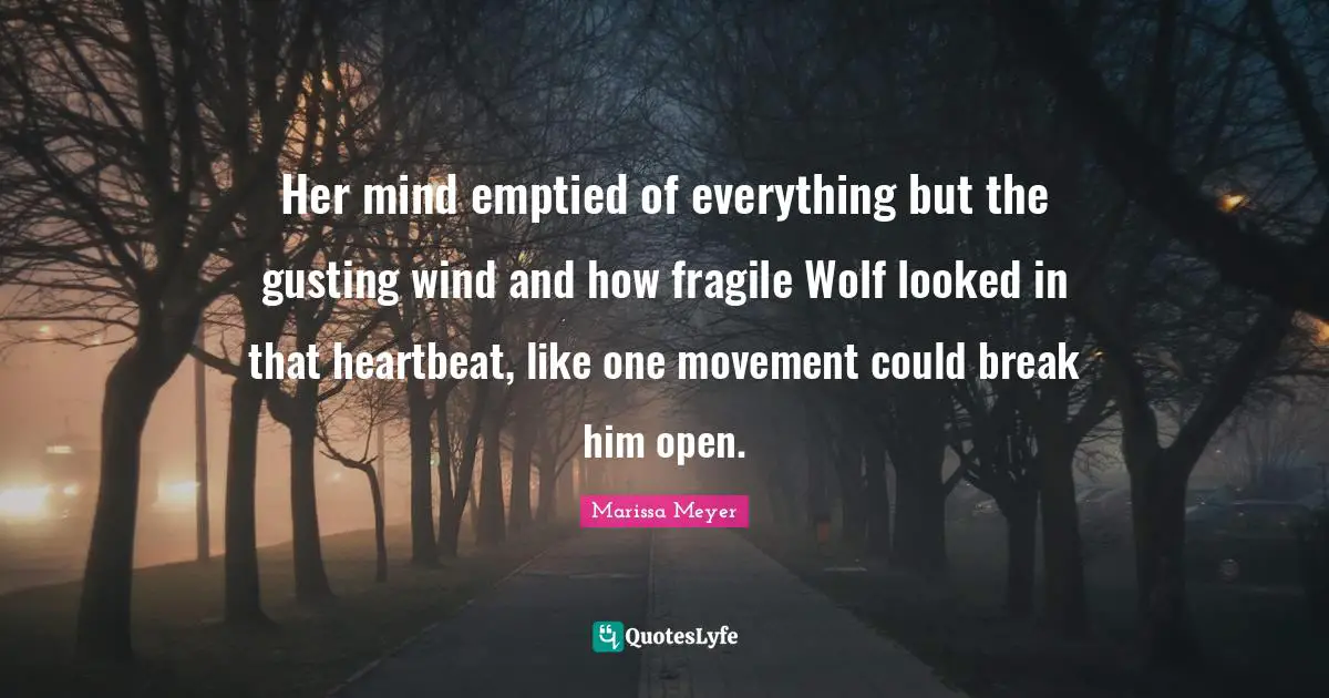 Her mind emptied of everything but the gusting wind and how fragile Wolf looked in that heartbeat, like one movement could break him open.