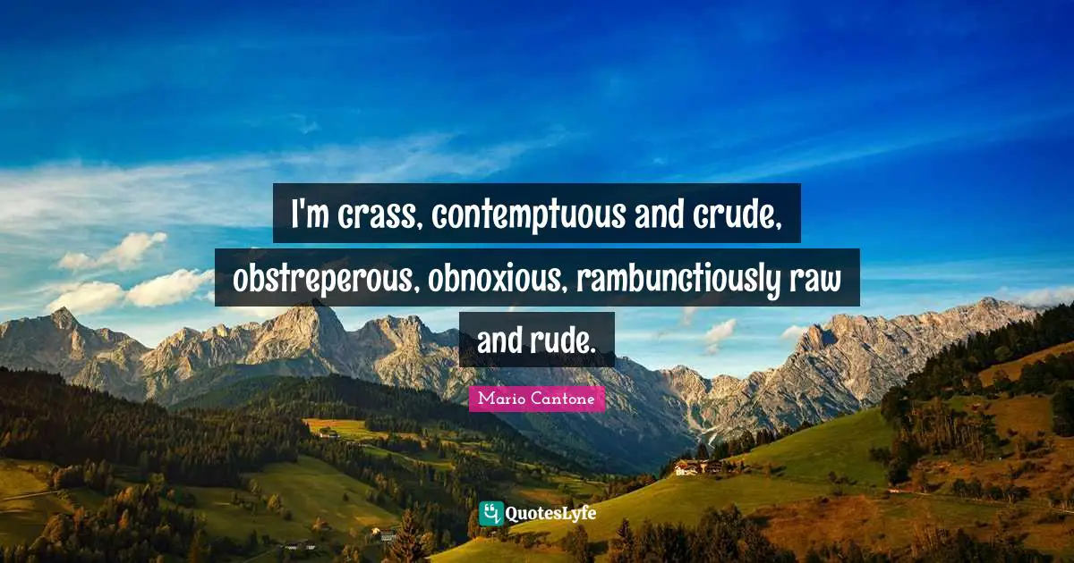 I'm crass, contemptuous and crude, obstreperous, obnoxious, rambunctiously raw and rude.